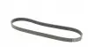 6PK1019ELAST Ремень генератора Ford Fiesta/Focus CONTITECH підбір по vin на Brocar