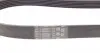 6PK1029ELAST Ремень генератора Ford Fiesta VI/Mondeo IV 08- CONTITECH підбір по vin на Brocar