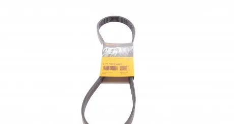 6PK1029ELAST Ремінь генератора Ford Fiesta VI/Mondeo IV 08- CONTITECH підбір по vin на Brocar