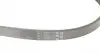 6PK1033ELAST Ремень генератора Ford Fiesta VI 1.25-1.6Ti 08- CONTITECH підбір по vin на Brocar