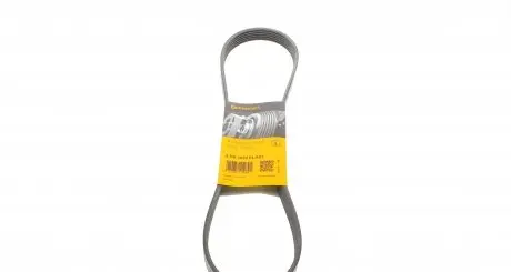 6PK1033ELAST Ремінь генератора Ford Fiesta VI 1.25-1.6Ti 08- CONTITECH підбір по vin на Brocar