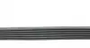 6PK1045 Ремень генератора VW Golf III/Passat/T4 1.9D/TD 90-04/Opel Corsa F 1.2 19-/Fiat Scudo 1.9D 98-06 CONTITECH підбір по vin на Brocar