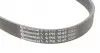 6PK1045 Ремень генератора VW Golf III/Passat/T4 1.9D/TD 90-04/Opel Corsa F 1.2 19-/Fiat Scudo 1.9D 98-06 CONTITECH підбір по vin на Brocar