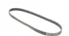 6PK1045 Ремень генератора VW Golf III/Passat/T4 1.9D/TD 90-04/Opel Corsa F 1.2 19-/Fiat Scudo 1.9D 98-06 CONTITECH підбір по vin на Brocar