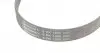 6PK1050 Ремень генератора VW Golf III/Passat/Caddy 1.9/2.0TDI/SDI 03-10/Skoda Octavia/Superb 1.9/2.0TD 04-15 CONTITECH підбір по vin на Brocar