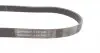 6PK1065 Ремень генератора BMW M3 (E90) 07-13/Peugeot 306 1.8-2.0 94-01/Citroen Xsara 1.8i 98-00 CONTITECH підбір по vin на Brocar