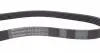 6PK1115 Ремінь генератора Skoda Octavia 1.8TSI 09-13/Honda Accord 2.0/2.2 93-98/Lada Priora/Kalina 07-18 CONTITECH підбір по vin на Brocar