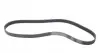 6PK1115 Ремінь генератора Skoda Octavia 1.8TSI 09-13/Honda Accord 2.0/2.2 93-98/Lada Priora/Kalina 07-18 CONTITECH підбір по vin на Brocar