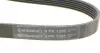 6PK1205 Ремінь генератора Peugeot Partner 1.6 VTi 08- (-AC)/Renault Kangoo/Scenic 1.5dCi/1.6 13- (+AC) CONTITECH підбір по vin на Brocar