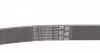 6PK1230 Ремень генератора Ford Scorpio/Sierra 2.0i 85-94 CONTITECH підбір по vin на Brocar