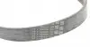 6PK1249ELAST Ремень генератора Ford Focus 1.8/2.0 04-12 (6PK1249) CONTITECH підбір по vin на Brocar