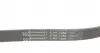 6PK1256 Ремінь генератора Hyundai i30/ Tucson/ ix20 1.4i-1.6 07-/ Kia Cee&#039;d/Picanto/ Soul 1.0-1.6 06- CONTITECH підбір по vin на Brocar