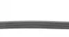 6PK1264 Ремень генератора VW T5/Golf 2.3-3.2 V6 03-09/Audi A4/A6/Q5 2.0TDI 08-17 CONTITECH підбір по vin на Brocar