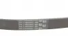6PK1264 Ремень генератора VW T5/Golf 2.3-3.2 V6 03-09/Audi A4/A6/Q5 2.0TDI 08-17 CONTITECH підбір по vin на Brocar