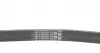 6PK1270 Ремень генератора Ford Focus/Mondeo 2.0TDCi 14-/Fiat Bravo/Stilo 1.8/1.9D 07- CONTITECH підбір по vin на Brocar
