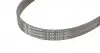 6PK1270 Ремень генератора Ford Focus/Mondeo 2.0TDCi 14-/Fiat Bravo/Stilo 1.8/1.9D 07- CONTITECH підбір по vin на Brocar