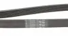 6PK1440 Ремінь генератора Citroen Berlingo/Jumpy/Fiat Scudo/Peugeot Partner 1.9D 98-/Hyundai Accent 02-05 CONTITECH підбір по vin на Brocar
