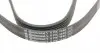 6PK1440 Ремінь генератора Citroen Berlingo/Jumpy/Fiat Scudo/Peugeot Partner 1.9D 98-/Hyundai Accent 02-05 CONTITECH підбір по vin на Brocar