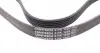 6PK1460 Ремень генератора Ford Connect (-AC)/Opel Combo 1.2/1.4i -01 CONTITECH підбір по vin на Brocar