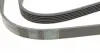 6PK1515 Ремень генератора BMW 3 (E36) 3.0/3.2 94-99/Mitsubishi Pajero Sport 2.5 DI-D 4WD 08- CONTITECH підбір по vin на Brocar