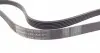 6PK1520 Ремінь генератора Ford Focus 1.8 TDCi 05-12/Skoda Octavia/VW Lupo/Seat Arosa 1.4 i 99-01 CONTITECH підбір по vin на Brocar