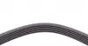 6PK1520 Ремінь генератора Ford Focus 1.8 TDCi 05-12/Skoda Octavia/VW Lupo/Seat Arosa 1.4 i 99-01 CONTITECH підбір по vin на Brocar