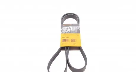 6PK1520 Ремінь генератора Ford Focus 1.8 TDCi 05-12/Skoda Octavia/VW Lupo/Seat Arosa 1.4 i 99-01 CONTITECH підбір по vin на Brocar