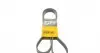 Ремінь генератора Citroen Berlingo/Peugeot Bipper/Partner 1.4/1.6 (6PK1564)
