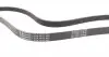 6PK1613 Ремінь генератора VW Crafter 2.0TDI 11-16/Opel Corsa D 1.7CDTI 06-11/Ford Fiesta 1.8DI 00-03 CONTITECH підбір по vin на Brocar