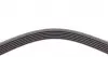 6PK1613 Ремінь генератора VW Crafter 2.0TDI 11-16/Opel Corsa D 1.7CDTI 06-11/Ford Fiesta 1.8DI 00-03 CONTITECH підбір по vin на Brocar