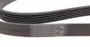 6PK1623 Ремень генератора Opel Astra 1.7CDTI 04-10/ Subaru Tribeca 3.0-3.6 05-/ VW Passat 3.2 05-10 CONTITECH підбір по vin на Brocar