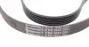 6PK1623 Ремень генератора Opel Astra 1.7CDTI 04-10/ Subaru Tribeca 3.0-3.6 05-/ VW Passat 3.2 05-10 CONTITECH підбір по vin на Brocar