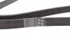 6PK1642 Ремень генератора VW LT 2.8TDI 97-06/Ford Transit 2.2TDCi 11-14/Citroen Jumper 2.2HDi 11- CONTITECH підбір по vin на Brocar