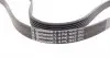 6PK1642 Ремень генератора VW LT 2.8TDI 97-06/Ford Transit 2.2TDCi 11-14/Citroen Jumper 2.2HDi 11- CONTITECH підбір по vin на Brocar
