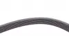 6PK1698 Ремінь генератора Skoda Fabia/VW Passat B6/B7 09-14/Citroen Berlingo/Peugeot 98-/BMW/Chevrolet 11- CONTITECH підбір по vin на Brocar