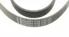 6PK1740 Ремень генератора Peugeot 206/406/806/Expert/Fiat Scudo/Citroen C5/C8/Jumpy 1.9D/2.0HDI 95- CONTITECH підбір по vin на Brocar