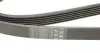 6PK1740 Ремень генератора Peugeot 206/406/806/Expert/Fiat Scudo/Citroen C5/C8/Jumpy 1.9D/2.0HDI 95- CONTITECH підбір по vin на Brocar