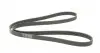6PK1740 Ремень генератора Peugeot 206/406/806/Expert/Fiat Scudo/Citroen C5/C8/Jumpy 1.9D/2.0HDI 95- CONTITECH підбір по vin на Brocar