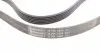 6PK1805 Ремень генератора Opel Vectra/Astra G 2.0/2.2 DTI 00-05/Renault Koleos 2.5 08- CONTITECH підбір по vin на Brocar