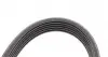 6PK1850 Ремінь генератора Nissan Murano 2.5 16-/Opel Frontera B 2.2 98-04 CONTITECH підбір по vin на Brocar