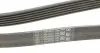 6PK2013 Ремінь генератора MB Vito OM601/602 (AC)/ M111 (PS) CONTITECH підбір по vin на Brocar