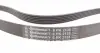 6PK2135 Ремінь генератора MB C-class (W203) 00-02/E-class (W212) 11-15/S-class (W221) 11-13/Sprinter 2.9 CONTITECH підбір по vin на Brocar