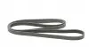 6PK2475 Ремінь генератора Porsche Cayenne 10-/Audi Q7 06-15/VW Touareg 3.0 TDI 04-18 CONTITECH підбір по vin на Brocar