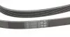 6PK2490 Ремень генератора Audi A4/A6/A8/Q7 2.7/3.0TDI 04- (6PK2490) CONTITECH підбір по vin на Brocar