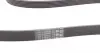 6PK2498 Ремінь генератора Audi A4-A6/Q5 2.7/3.0TDI 05-/Hyundai Santa Fe/Kia Sorento 2.0-2.2CRDi 09-/Porsche CONTITECH підбір по vin на Brocar