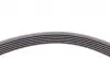 6PK2498 Ремінь генератора Audi A4-A6/Q5 2.7/3.0TDI 05-/Hyundai Santa Fe/Kia Sorento 2.0-2.2CRDi 09-/Porsche CONTITECH підбір по vin на Brocar