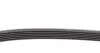 6PK737 Ремінь генератора VW Caddy III 1.4/1.6 04-/Golf/Polo 1.2/1.4TSI 12-/Audi A3 1.2/1.4TFSI 13- CONTITECH підбір по vin на Brocar