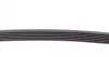 6PK800 Ремень генератора Citroen Berlingo/Peugeot Partner 1.6HDI (6PK800) CONTITECH підбір по vin на Brocar