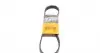 Ремень генератора Ford Transit 2.0Di/TDCi 00- (-AC) 6PK831ELAST