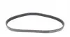 6PK842ELAST Ремень генератора VW Golf VI/Caddy III 1.6-2.0 TDI 10-/Skoda Octavia 09-13/Audi A3 1.6/2.0TDI 03-13 CONTITECH підбір по vin на Brocar